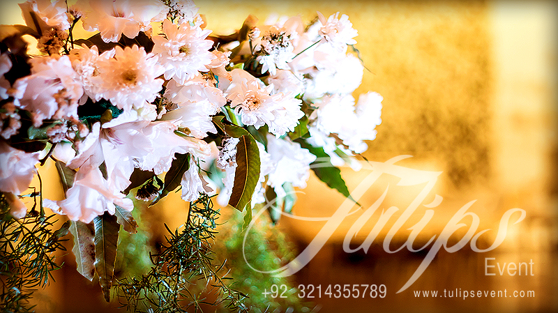 grand-pakistani-wedding-baraat-stage-tulips-event-05