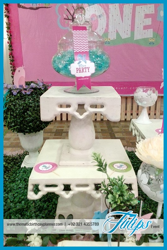 little-Birdie-birthday-party-theme-ideas-tulips-events-Pakistan-35
