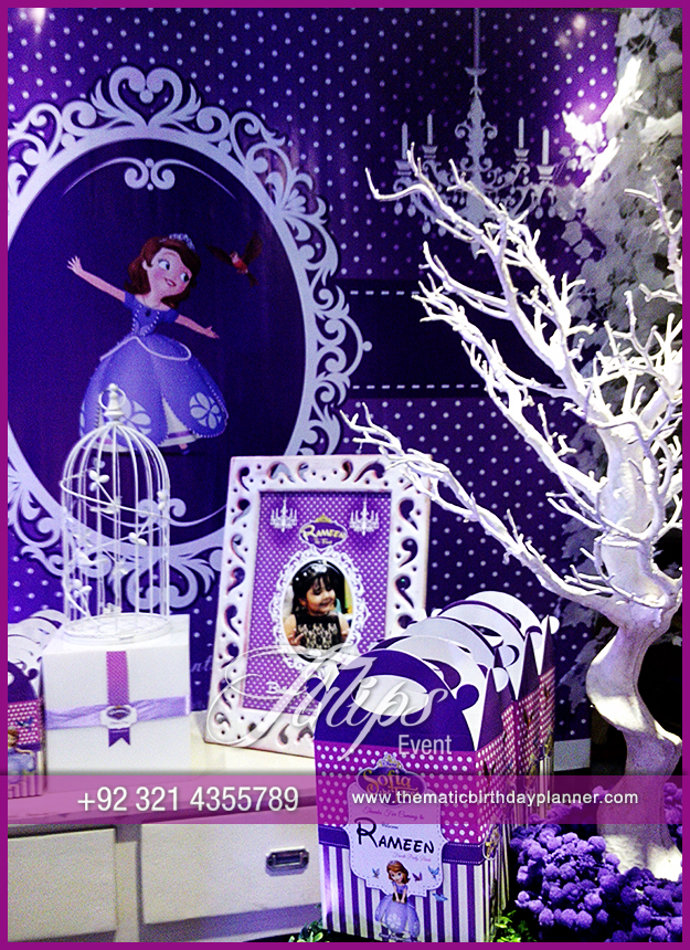 Disney-Sofia-Themed-Birthday-Decoration-ideas-in-Pakistan-1
