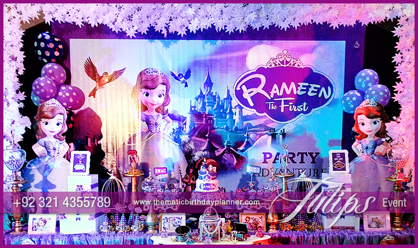 Disney-Sofia-Themed-Birthday-Decoration-ideas-in-Pakistan-4