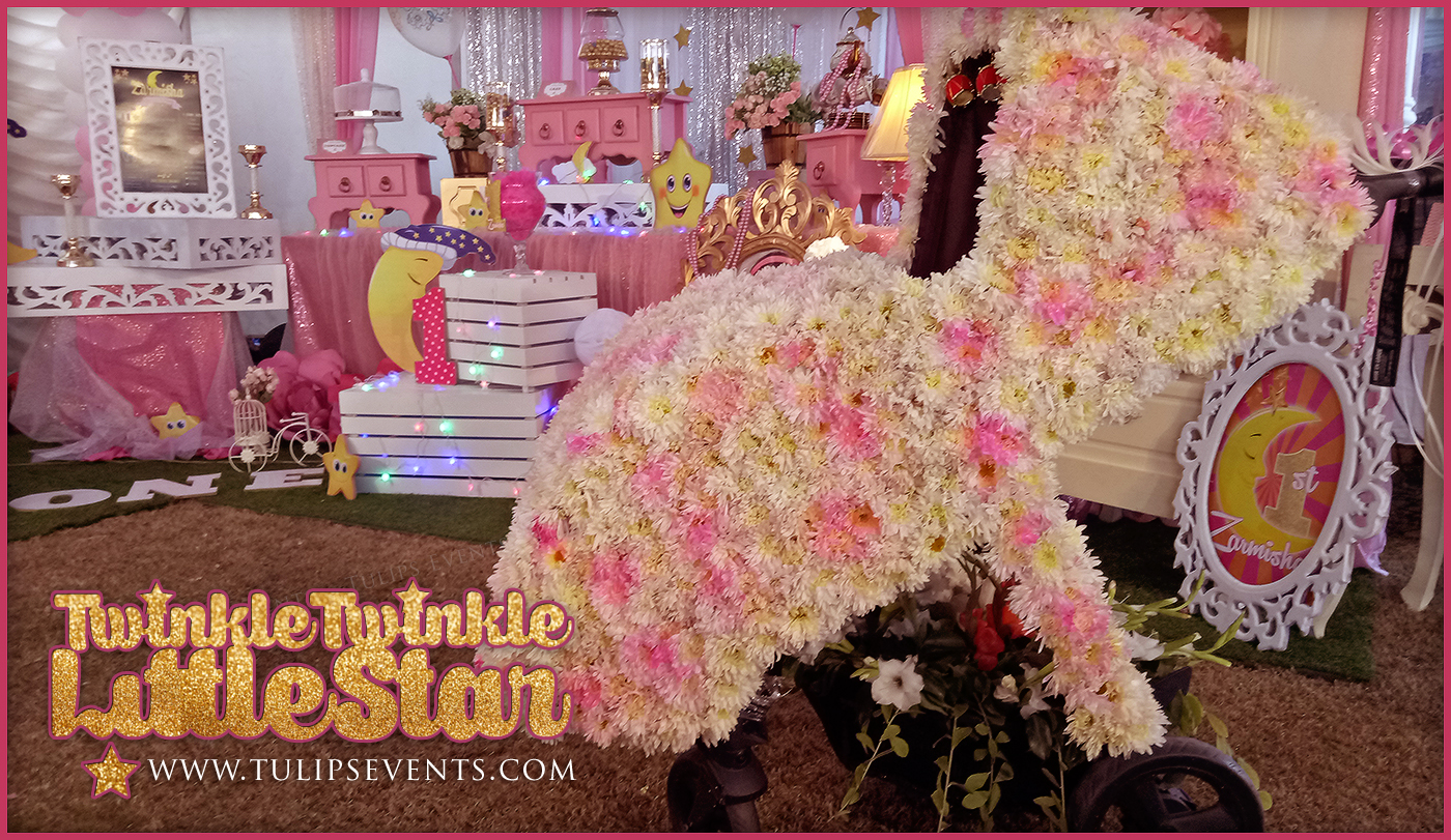 Twinkle-Twinkle-Little-Star-Girl-1st-Birthday-Party-in-Pakistan-5