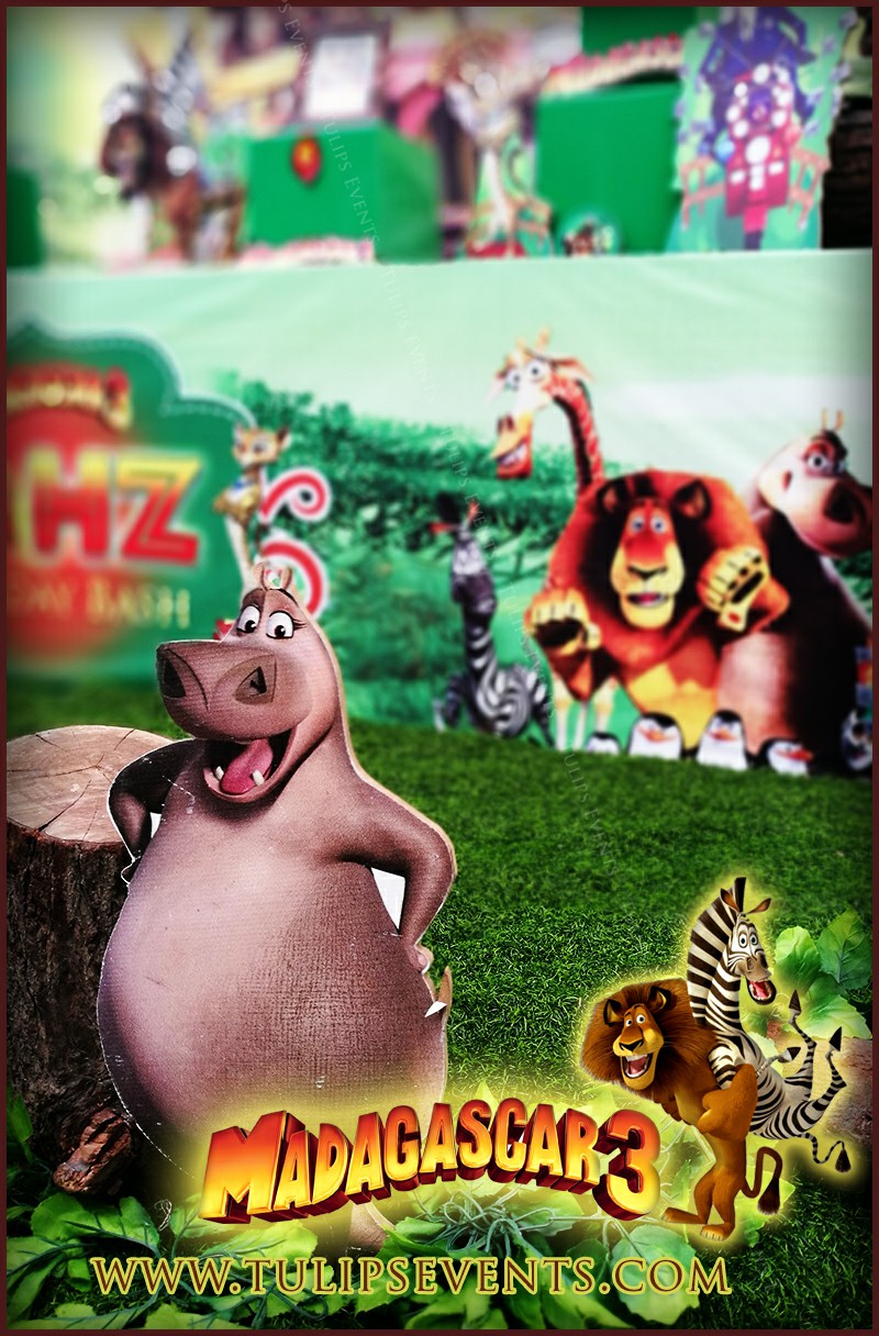 The-Great-Madagascar-party-theme-decor-ideas-in-Pakistan-12