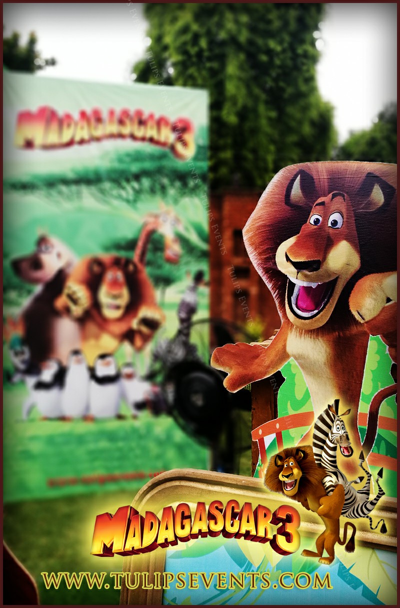The-Great-Madagascar-party-theme-decor-ideas-in-Pakistan-9