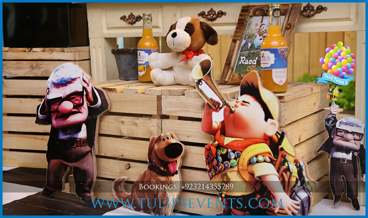 Disneys-Up-Themed-Birthday-Party-Decor-ideas-in-Pakistan-14
