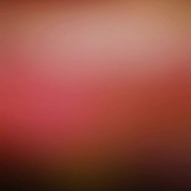 264623394_596970694721765_7648093159829303250_nfull